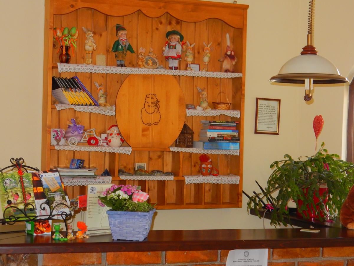 Гостевой дом Pensiunea Marmot Residence Бран-26